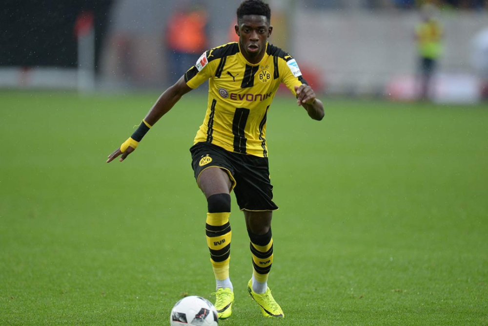 包括欧洲乃 包括欧洲乃